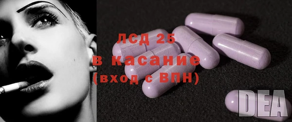 твердый Арсеньев