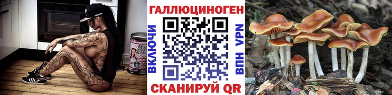 Галлюциногенные грибы Psilocybe  Сухиничи 